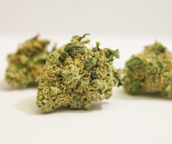 Lemon Skunk