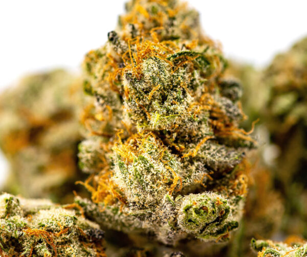 Lemon Skunk - Image 3