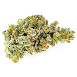 Sativa Bud